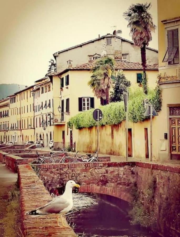 Apartmán Lo Stellario Di Lucca Exteriér fotografie